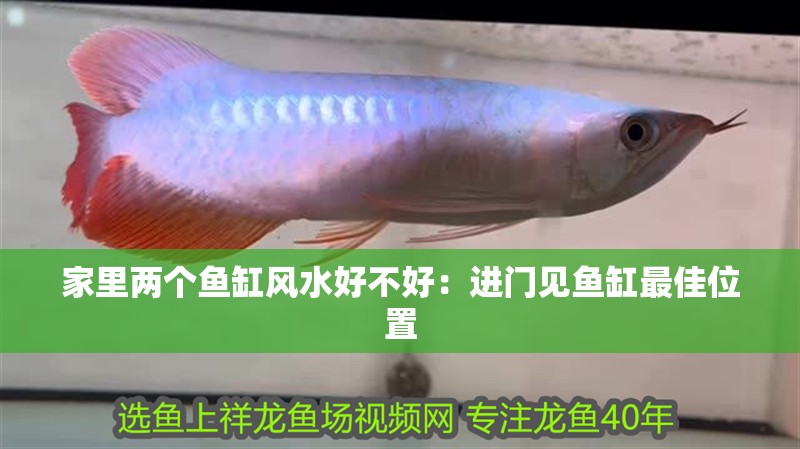 家里兩個魚缸風水好不好：進門見魚缸最佳位置