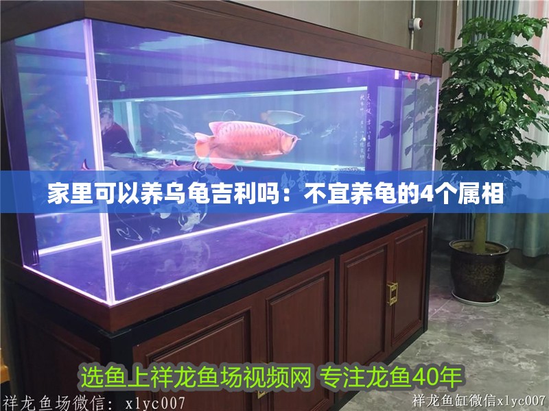 家里可以養(yǎng)烏龜吉利嗎：不宜養(yǎng)龜?shù)?個屬相