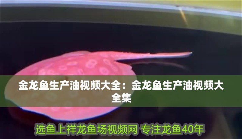 金龍魚生產油視頻大全：金龍魚生產油視頻大全集