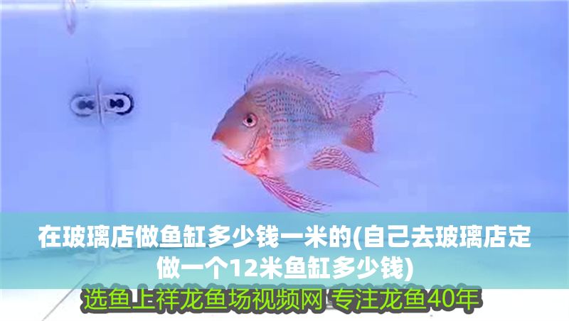 在玻璃店做魚缸多少錢一米的(自己去玻璃店定做一個12米魚缸多少錢)