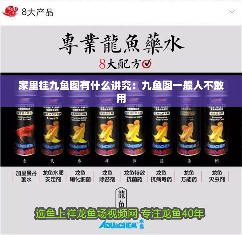 家里掛九魚圖有什么講究：九魚圖一般人不敢用