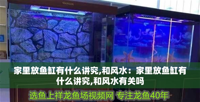家里放魚缸有什么講究,和風水：家里放魚缸有什么講究,和風水有關嗎