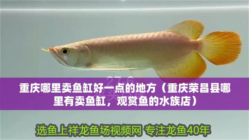 重慶哪里賣魚缸好一點的地方（重慶榮昌縣哪里有賣魚缸，觀賞魚的水族店）