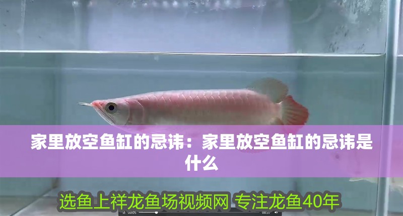 家里放空魚缸的忌諱：家里放空魚缸的忌諱是什么