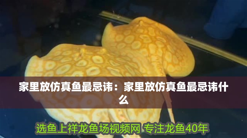 家里放仿真魚最忌諱：家里放仿真魚最忌諱什么