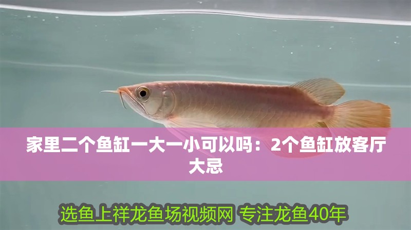 家里二個魚缸一大一小可以嗎：2個魚缸放客廳大忌