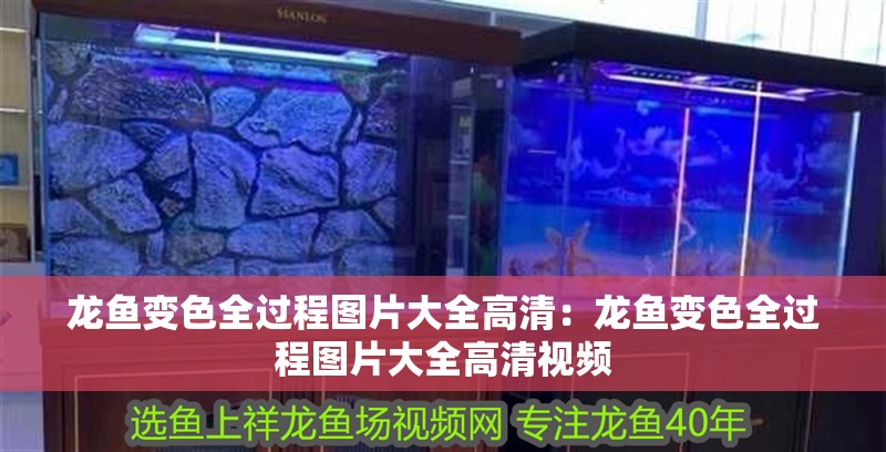 龍魚(yú)變色全過(guò)程圖片大全高清：龍魚(yú)變色全過(guò)程圖片大全高清視頻