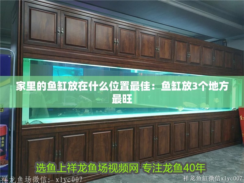 家里的魚缸放在什么位置最佳：魚缸放3個地方最旺