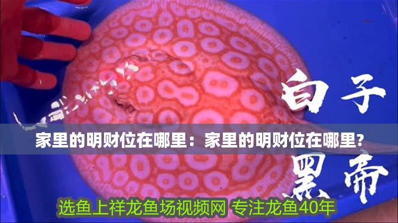 家里的明財位在哪里：家里的明財位在哪里?
