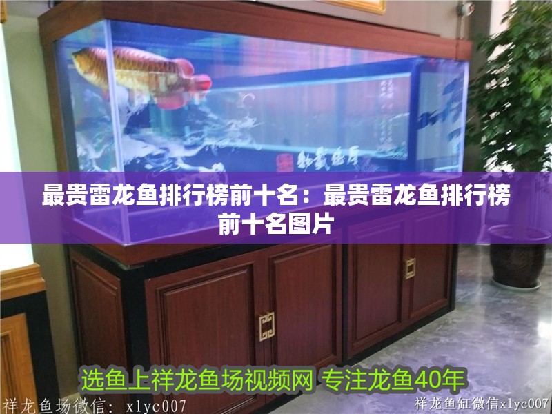 最貴雷龍魚排行榜前十名：最貴雷龍魚排行榜前十名圖片 最貴雷龍魚排行榜前十名：最貴雷龍魚排行榜前十名圖片 水族問答