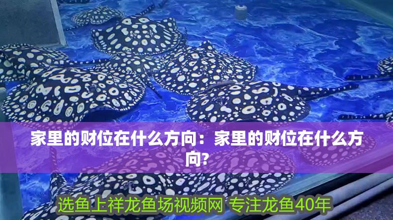 家里的財(cái)位在什么方向：家里的財(cái)位在什么方向?