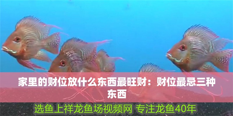 家里的財位放什么東西最旺財：財位最忌三種東西