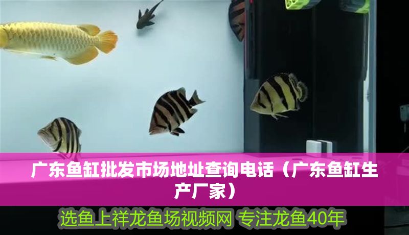 廣東魚缸批發(fā)市場地址查詢電話（廣東魚缸生產(chǎn)廠家）