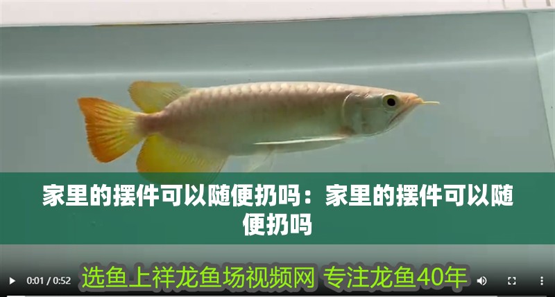 家里的擺件可以隨便扔嗎：家里的擺件可以隨便扔嗎