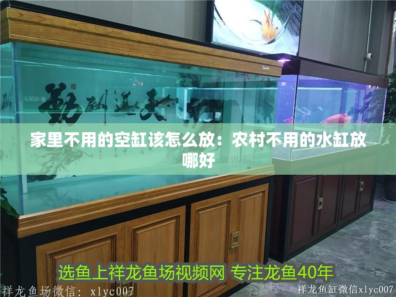 家里不用的空缸該怎么放：農(nóng)村不用的水缸放哪好