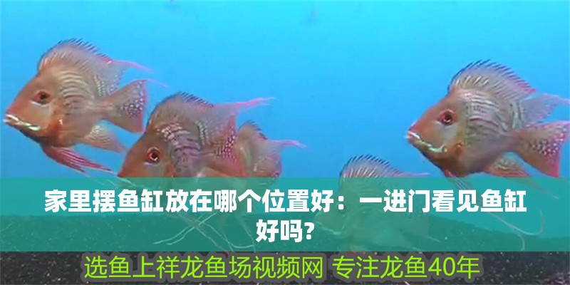 家里擺魚缸放在哪個位置好：一進(jìn)門看見魚缸好嗎?