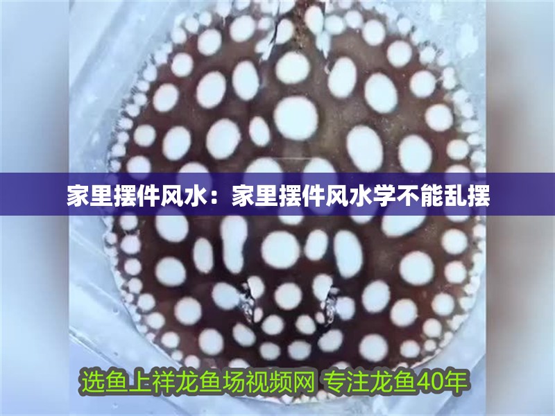 家里擺件風(fēng)水：家里擺件風(fēng)水學(xué)不能亂擺