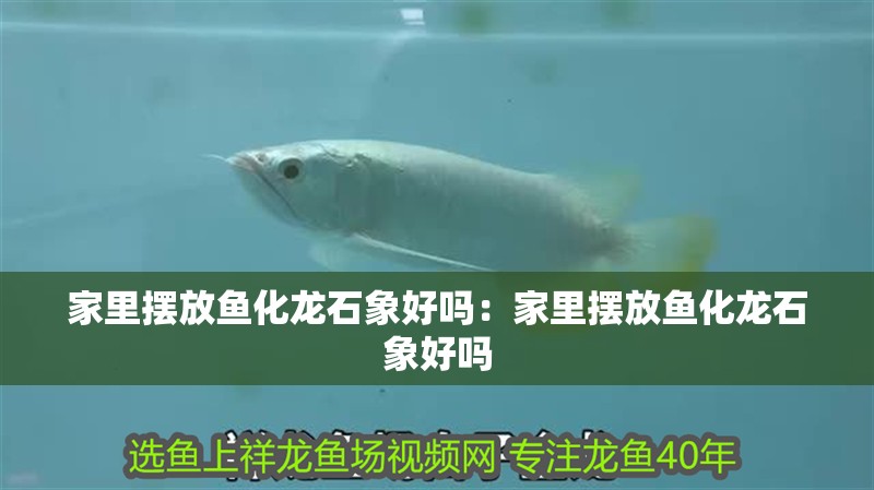 家里擺放魚化龍石象好嗎：家里擺放魚化龍石象好嗎