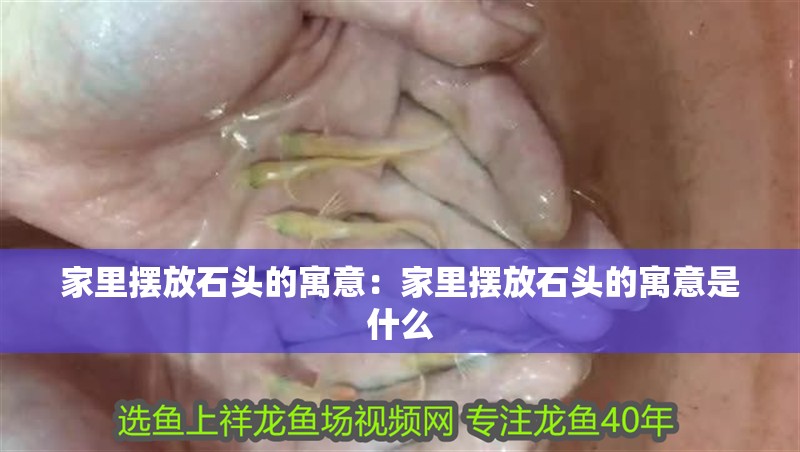 家里擺放石頭的寓意：家里擺放石頭的寓意是什么