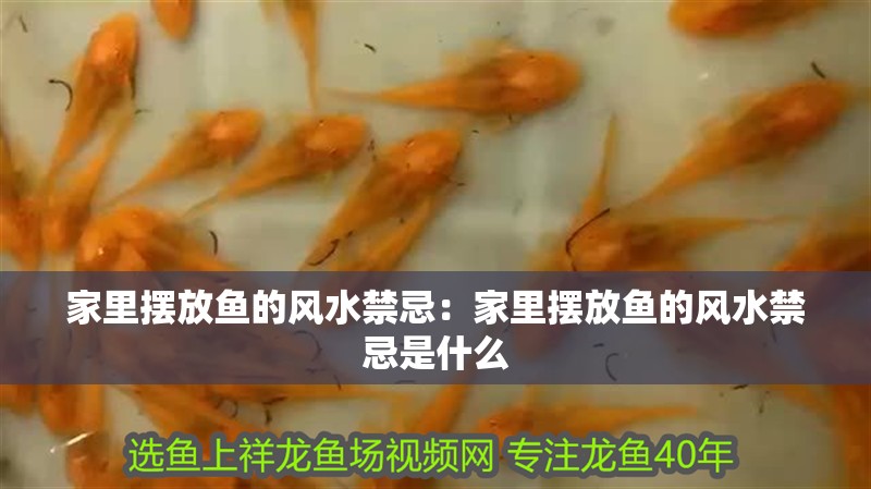 家里擺放魚的風水禁忌：家里擺放魚的風水禁忌是什么