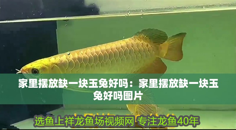 家里擺放缺一塊玉兔好嗎：家里擺放缺一塊玉兔好嗎圖片