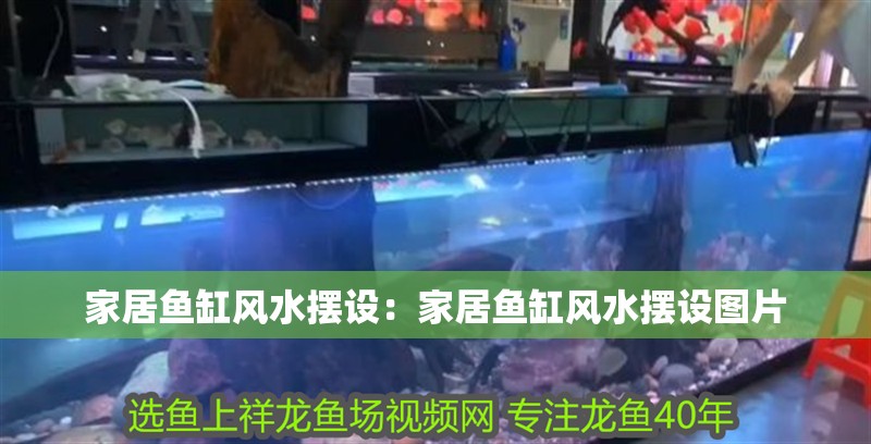 家居魚缸風水擺設：家居魚缸風水擺設圖片