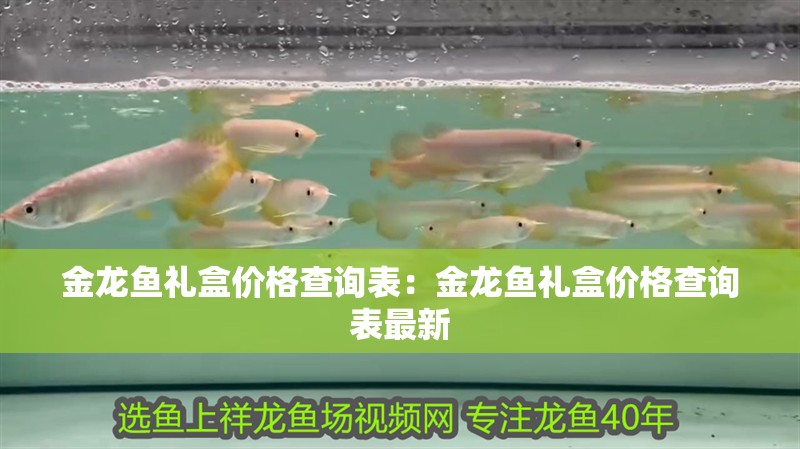 金龍魚禮盒價格查詢表：金龍魚禮盒價格查詢表最新