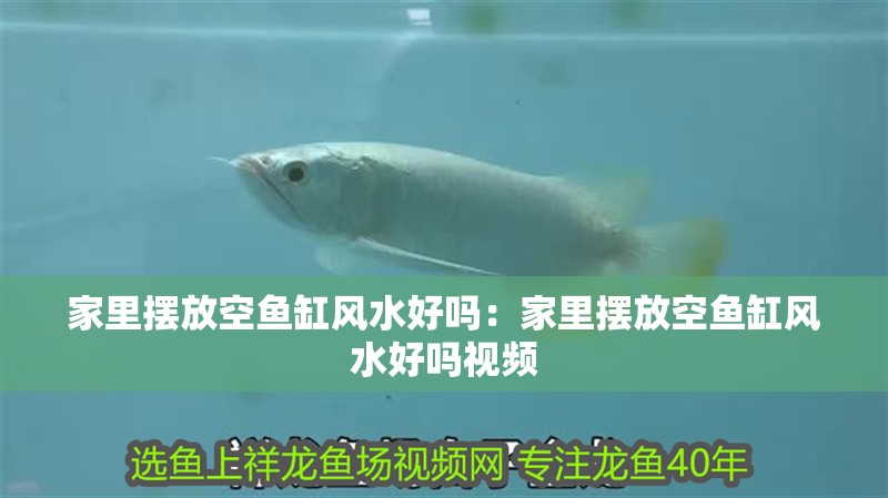 家里擺放空魚缸風水好嗎：家里擺放空魚缸風水好嗎視頻