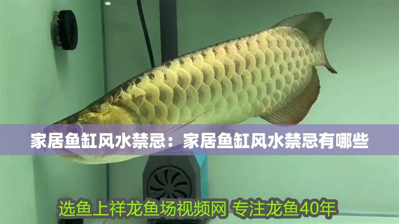 家居魚缸風水禁忌：家居魚缸風水禁忌有哪些