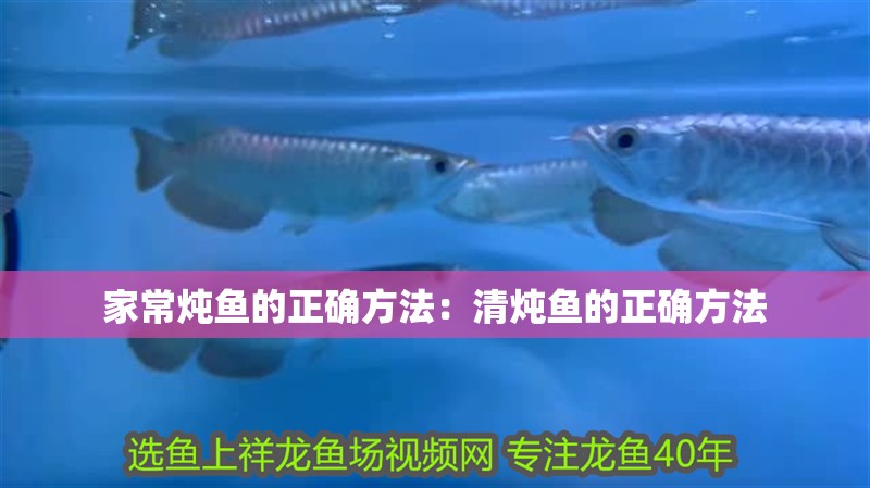 家常燉魚的正確方法：清燉魚的正確方法