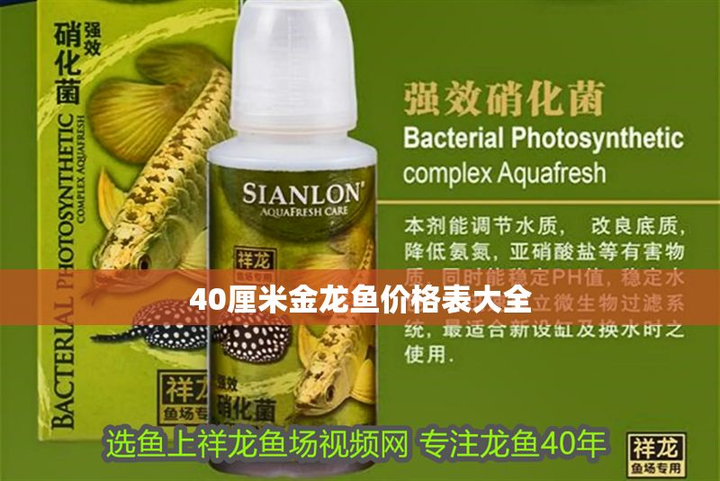 40厘米金龍魚價(jià)格表大全