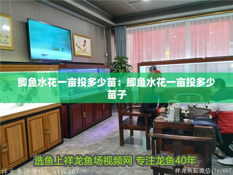 鯽魚水花一畝投多少苗：鯽魚水花一畝投多少苗子