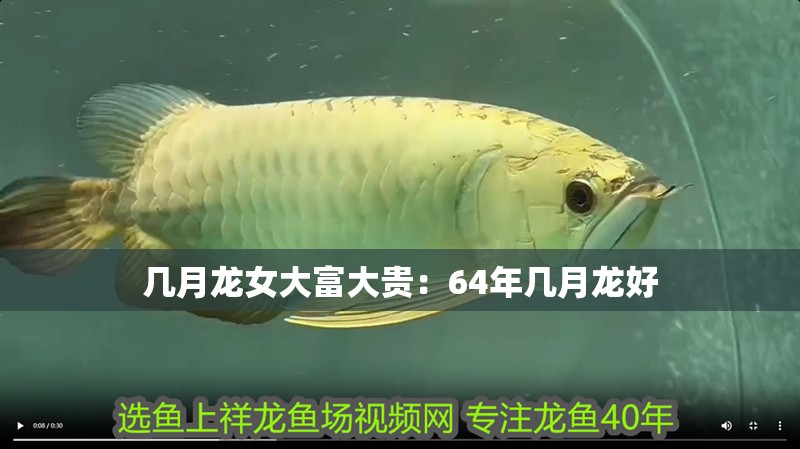 幾月龍女大富大貴：64年幾月龍好