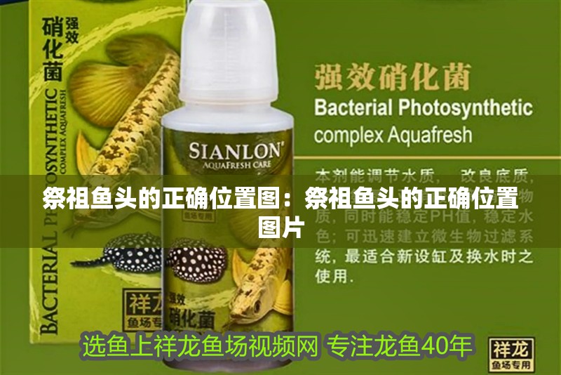 祭祖魚頭的正確位置圖：祭祖魚頭的正確位置圖片