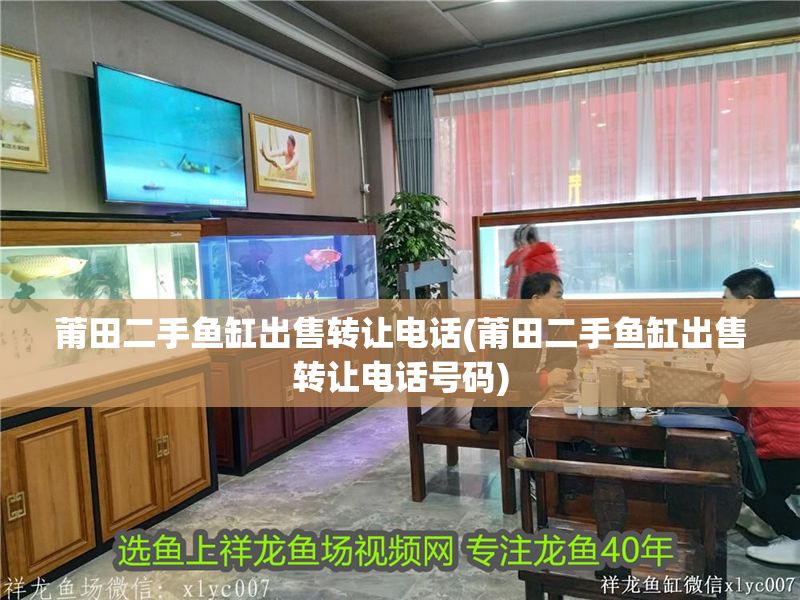 莆田二手魚缸出售轉(zhuǎn)讓電話(莆田二手魚缸出售轉(zhuǎn)讓電話號碼)