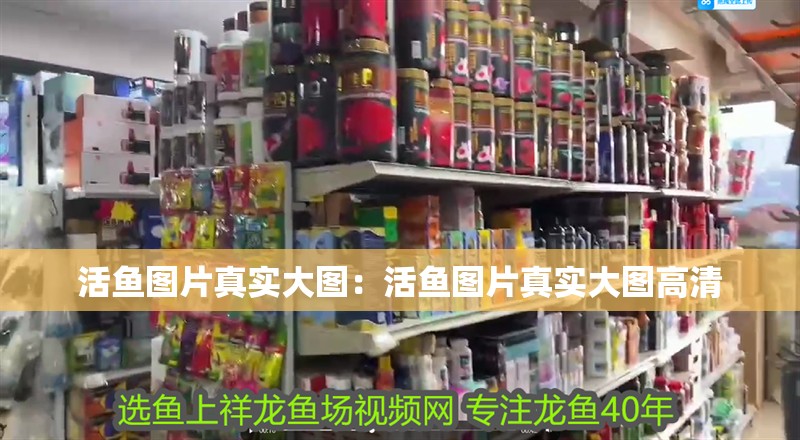 活魚圖片真實(shí)大圖：活魚圖片真實(shí)大圖高清