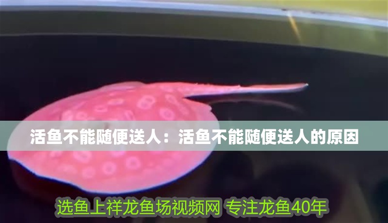 活魚不能隨便送人：活魚不能隨便送人的原因