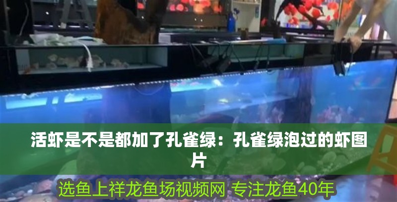 活蝦是不是都加了孔雀綠：孔雀綠泡過的蝦圖片