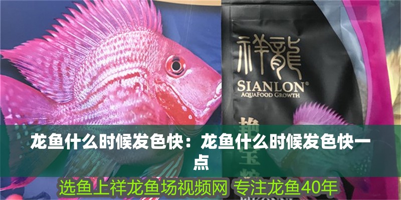 龍魚什么時候發色快：龍魚什么時候發色快一點