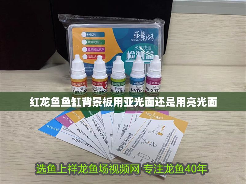 紅龍魚魚缸背景板用亞光面還是用亮光面 龍魚百科 第2張 紅龍魚魚缸背景板用亞光面還是用亮光面 紅龍魚魚缸背景板用亞光面還是用亮光面 龍魚百科 第2張