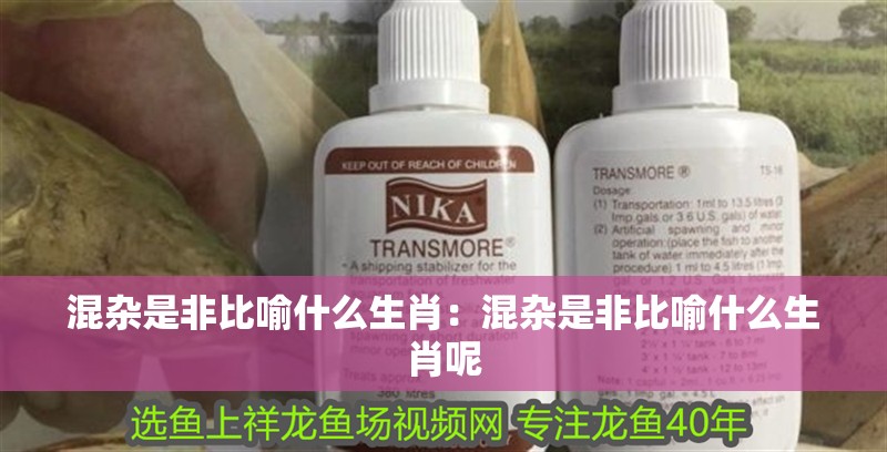 混雜是非比喻什么生肖：混雜是非比喻什么生肖呢