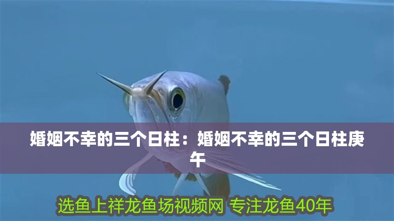 婚姻不幸的三個日柱：婚姻不幸的三個日柱庚午