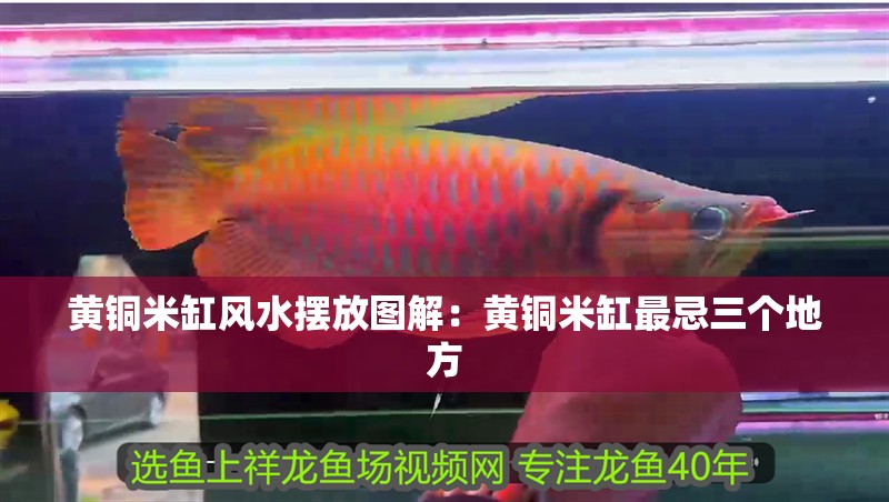 黃銅米缸風(fēng)水?dāng)[放圖解：黃銅米缸最忌三個(gè)地方