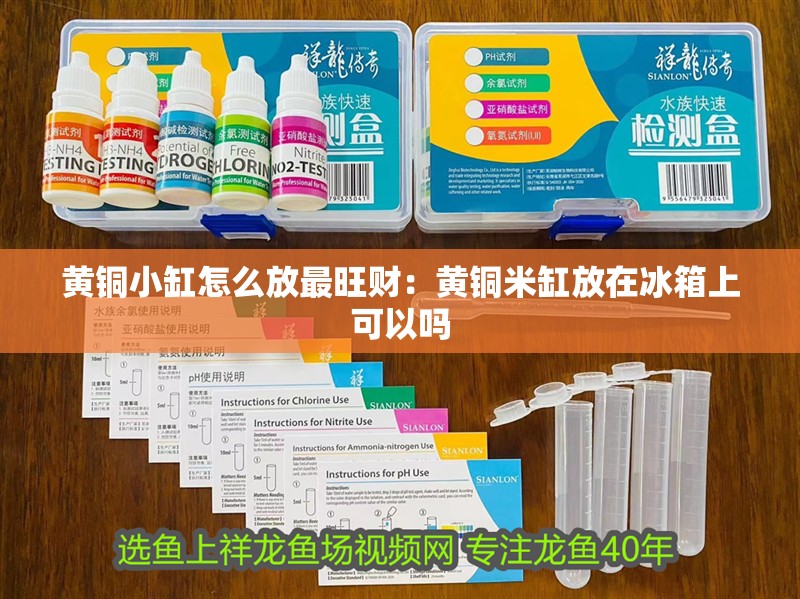 黃銅小缸怎么放最旺財：黃銅米缸放在冰箱上可以嗎
