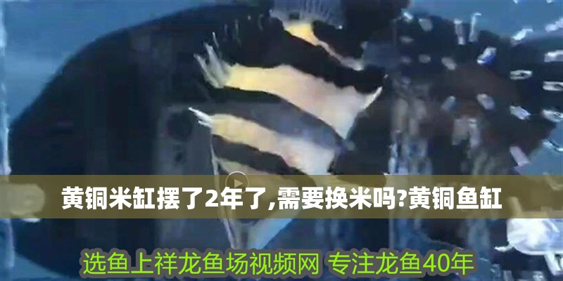 黃銅米缸擺了2年了,需要換米嗎?黃銅魚缸