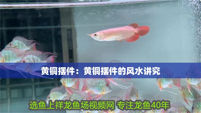 黃銅擺件：黃銅擺件的風水講究