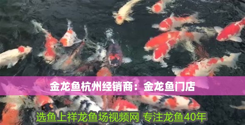 金龍魚杭州經(jīng)銷商：金龍魚門店