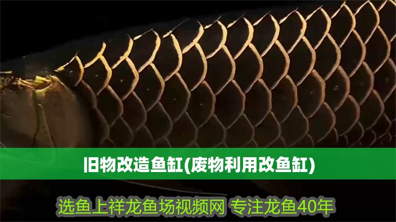 舊物改造魚缸(廢物利用改魚缸)