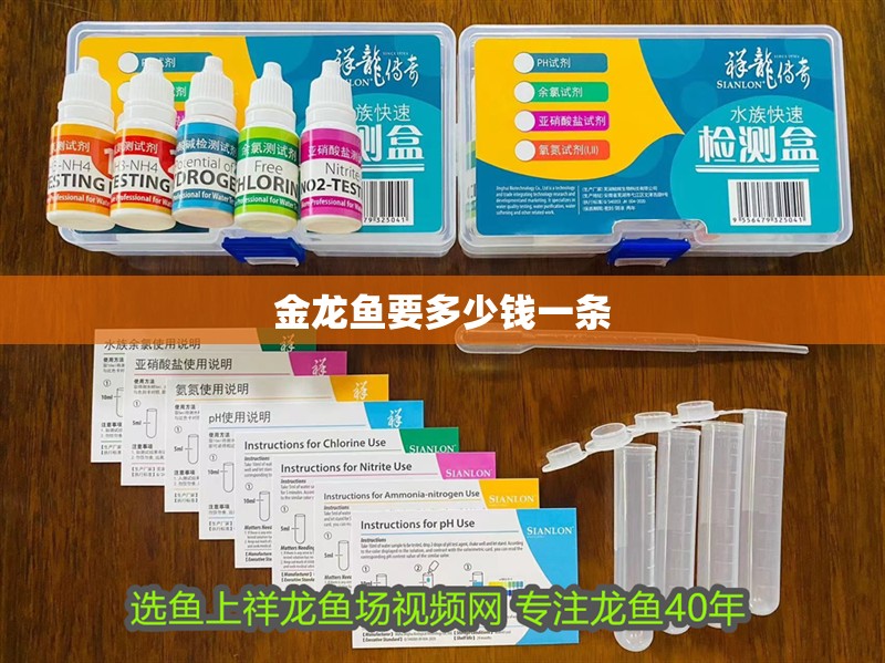 金龍魚要多少錢一條