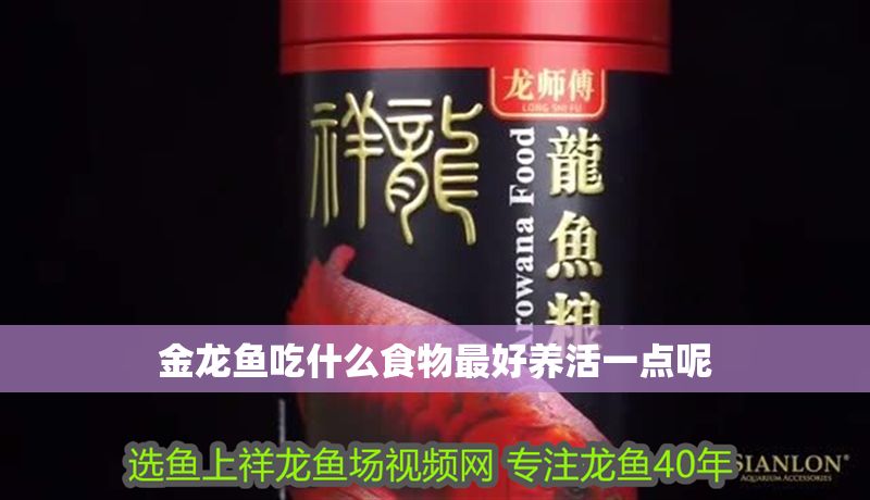 金龍魚吃什么食物最好養活一點呢